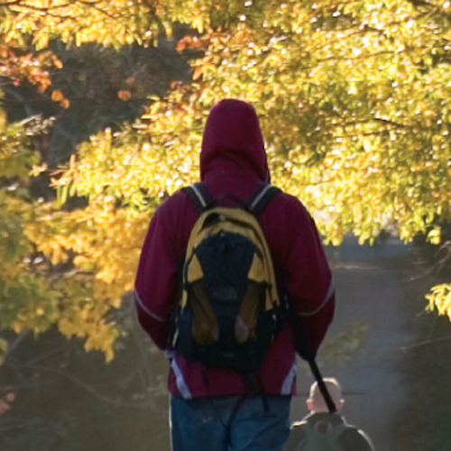 Photo of a student