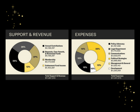 Two pie charts displaying support and revenue and expenses in the colors black gray and yellow 