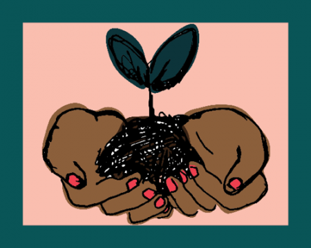 An illustration of brown hands holding a seedling over a pink background and green border
