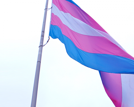 Photo of a transgender pride flag