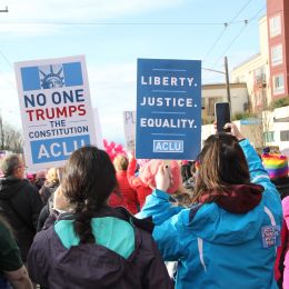 Marchers with a "No one trumps the constitution" sign