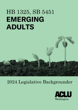 Document cover that reads HB 1325 SB 5451 Emerging Adults 2024 Legislative Backgrounder