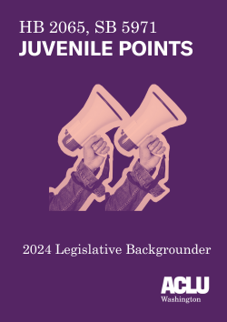 Document Cover: Correct Past Harms retroactively eliminate the use of juvenile points