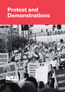 Protest and Demonstrations text above a black and white photo of a large demonstration