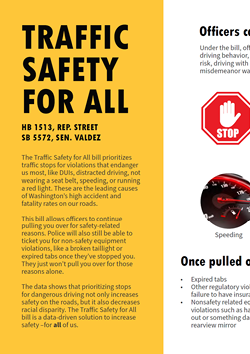 A preview of the infographic that reads Traffic Safety for All 