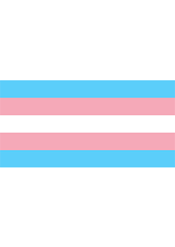 Photo of a trans pride flag linking to a Q&A document on health insurance and transgender care