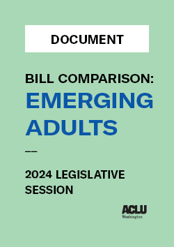 Document cover with text that says Emerging Adults Bill Comparison 2024 Legislative Session
