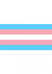 Photo of a trans pride flag linking to a Q&A document on health insurance and transgender care