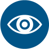 Government Surveillance Icon