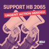 purple background with two hands holding a megaphone in pink text says support HB2065 urgent action needed