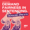 Demand Fairness in sentencing with a red background and a cutout pair of hands holding two megaphones 