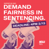 HB 2065 Action Alert House Cutoff - IG Demand Fairness in sentencing with a red background and a cutout pair of hands holding two megaphones